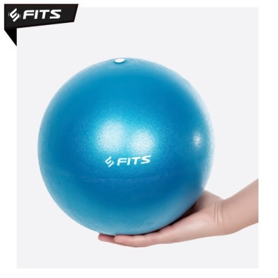 FITS Mini Gym Yoga Ball